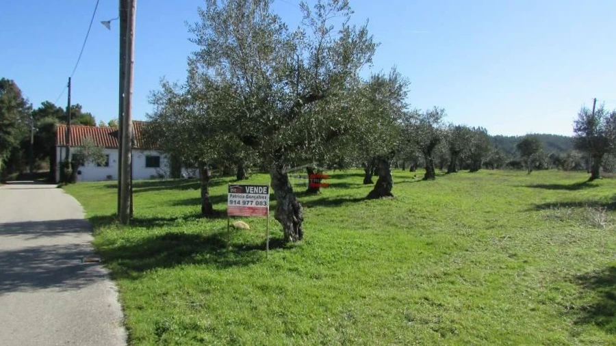 Terreno Misto para Venda em Alburitel
