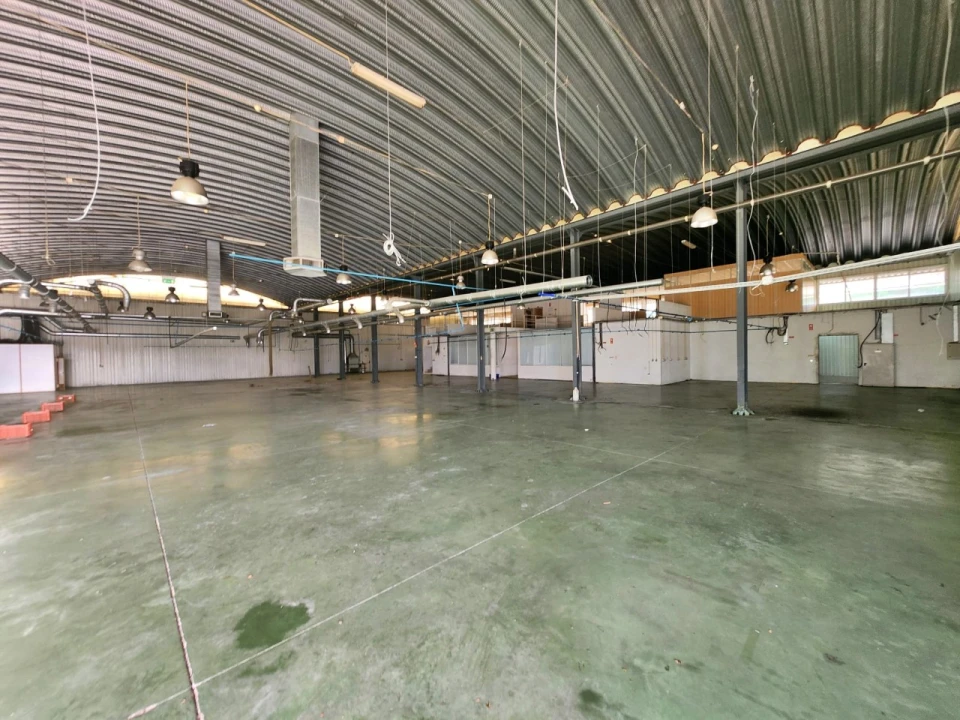 Armazém para Venda em Raiva, Pedorido e Paraíso Foto 16