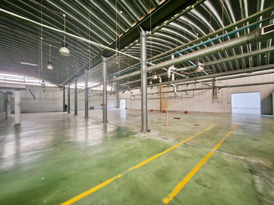 Armazém para Venda em Raiva, Pedorido e Paraíso Foto 10