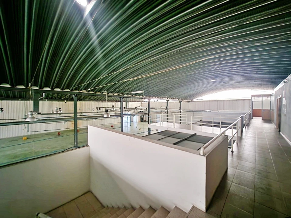 Armazém para Venda em Raiva, Pedorido e Paraíso Foto 19