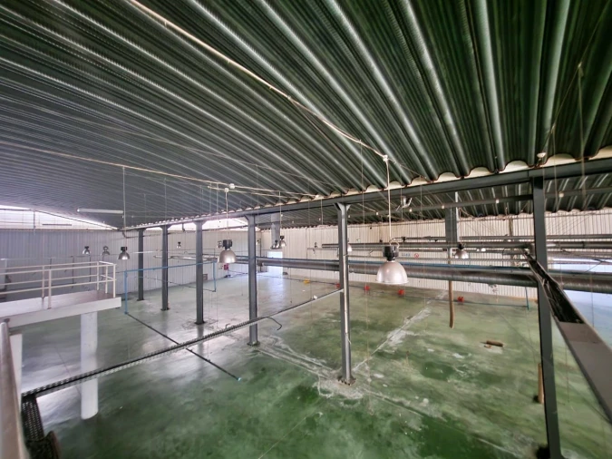 Armazém para Venda em Raiva, Pedorido e Paraíso Foto 17