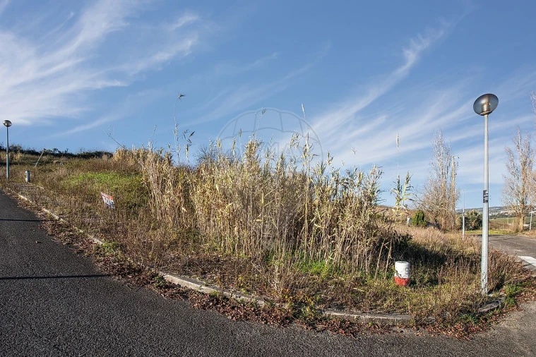 Terreno para Venda em Carvoeira e Carmões
