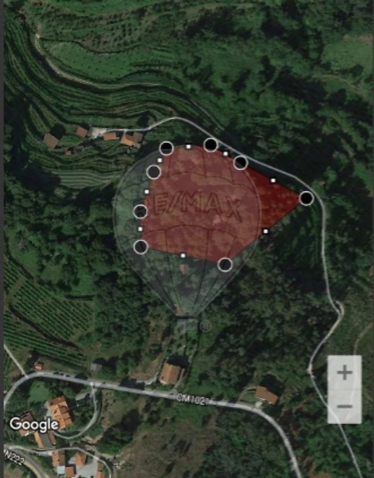 Terreno para Venda em Cinfães Foto 1