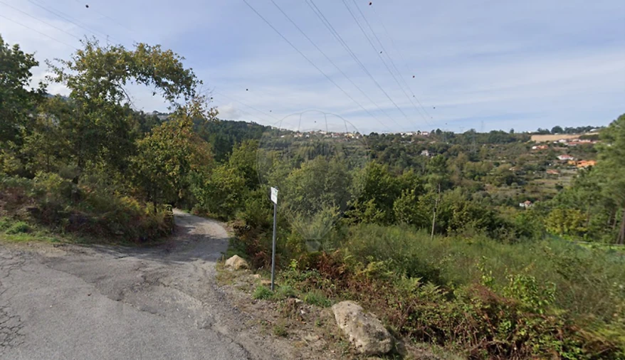Terreno para Venda em Cinfães Foto 3