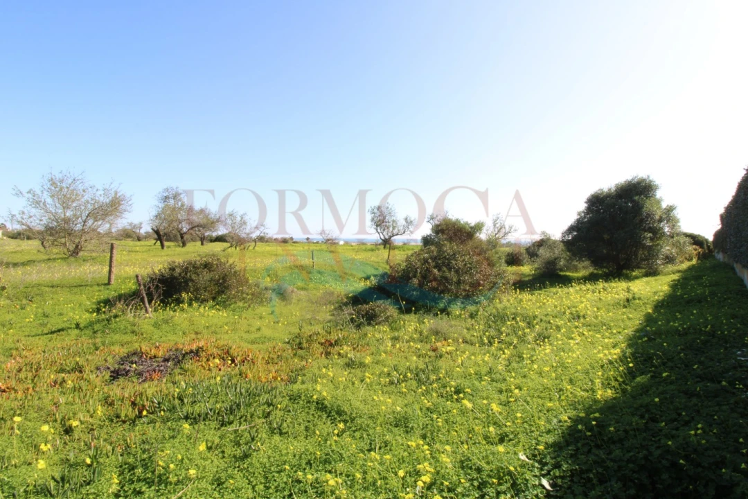 Terreno Agricola ou Rústico para Venda em Moncarapacho e Fuseta Foto 3