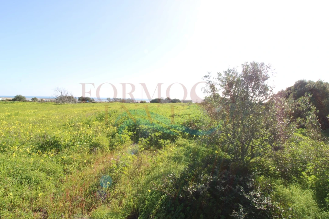 Terreno Agricola ou Rústico para Venda em Moncarapacho e Fuseta Foto 4