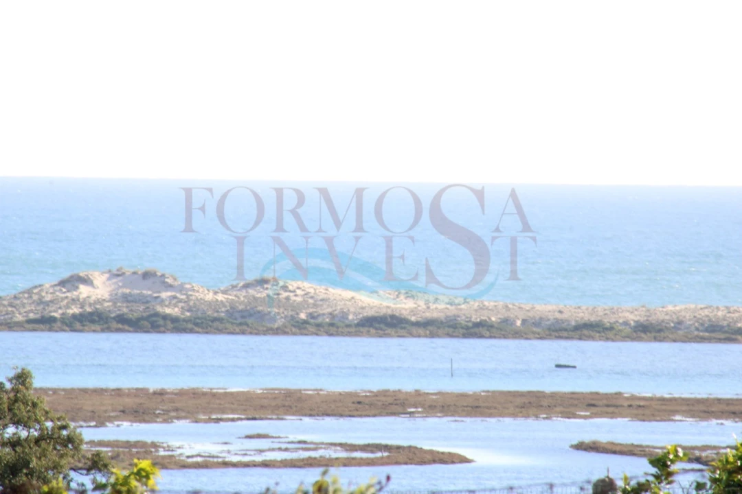 Terreno Agricola ou Rústico para Venda em Moncarapacho e Fuseta Foto 6