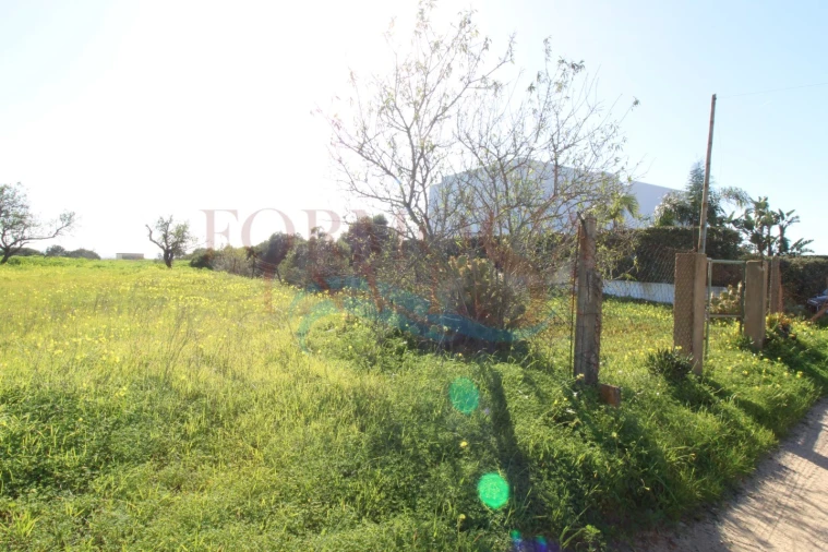 Terreno Agricola ou Rústico para Venda em Moncarapacho e Fuseta Foto 2