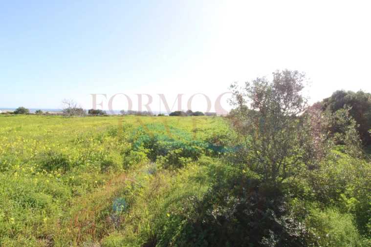 Terreno Agricola ou Rústico para Venda em Moncarapacho e Fuseta Foto 4