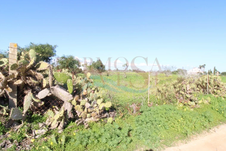 Terreno Agricola ou Rústico para Venda em Moncarapacho e Fuseta Foto 5