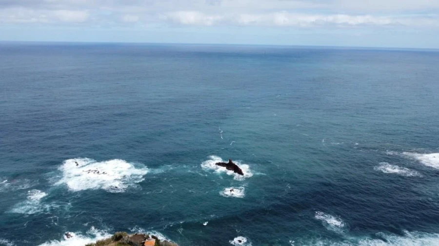 Terreno para Venda em Boa Ventura Foto 51
