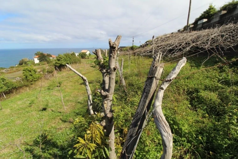 Terreno para Venda em Boa Ventura Foto 34