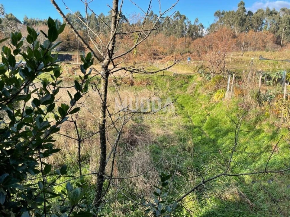 Moradia T4 para Venda em Vila Chã, Codal e Vila Cova de Perrinho Foto 12