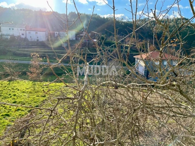 Moradia T4 para Venda em Vila Chã, Codal e Vila Cova de Perrinho Foto 11