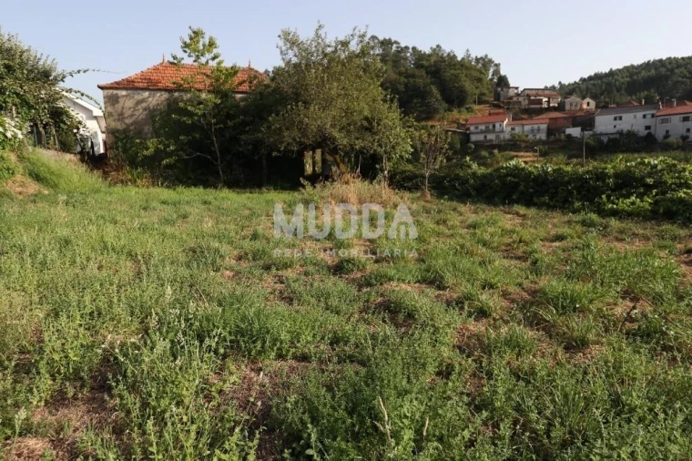 Moradia T4 para Venda em Vila Chã, Codal e Vila Cova de Perrinho Foto 14