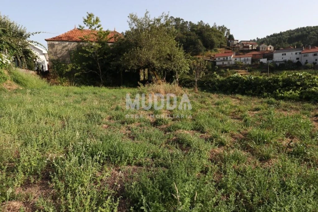 Moradia T4 para Venda em Vila Chã, Codal e Vila Cova de Perrinho Foto 14