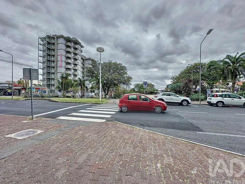 Loja para Venda em São Martinho Foto 2