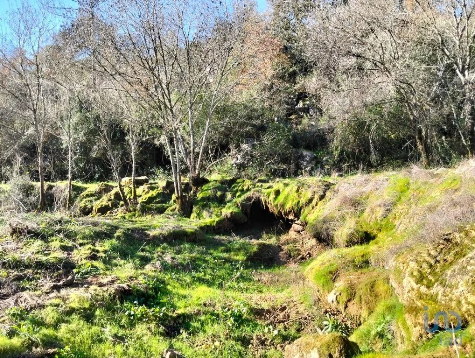 Terreno para Venda em Freixianda, Ribeira do Fárrio e Formigais Foto 15