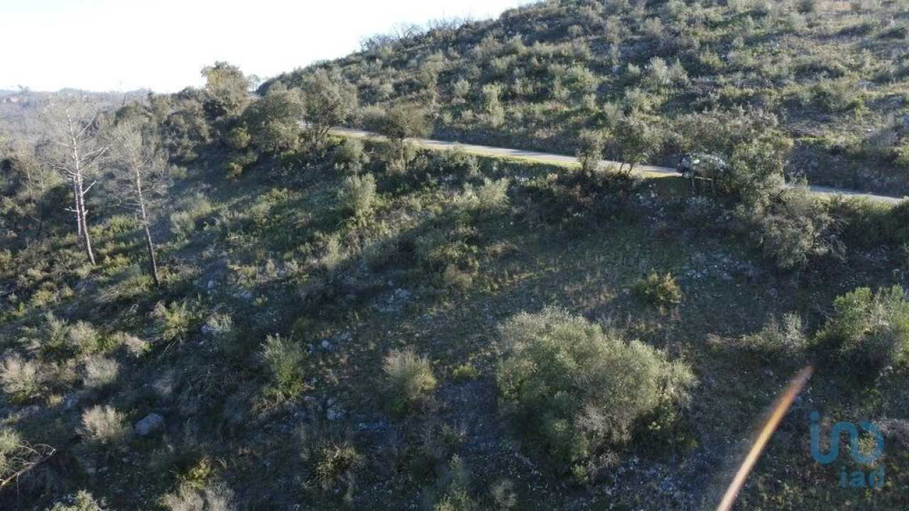 Terreno para Venda em Freixianda, Ribeira do Fárrio e Formigais Foto 6