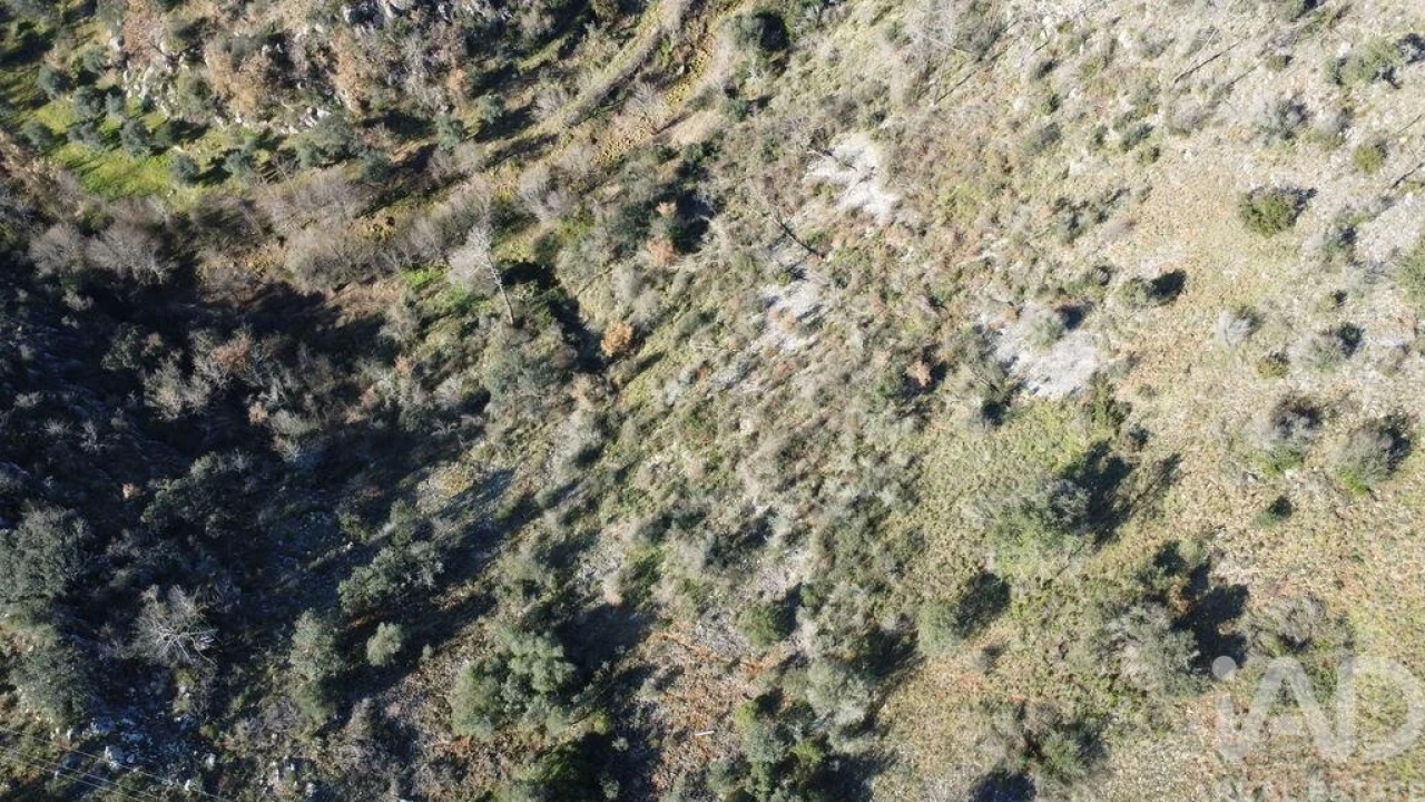 Terreno para Venda em Freixianda, Ribeira do Fárrio e Formigais Foto 26