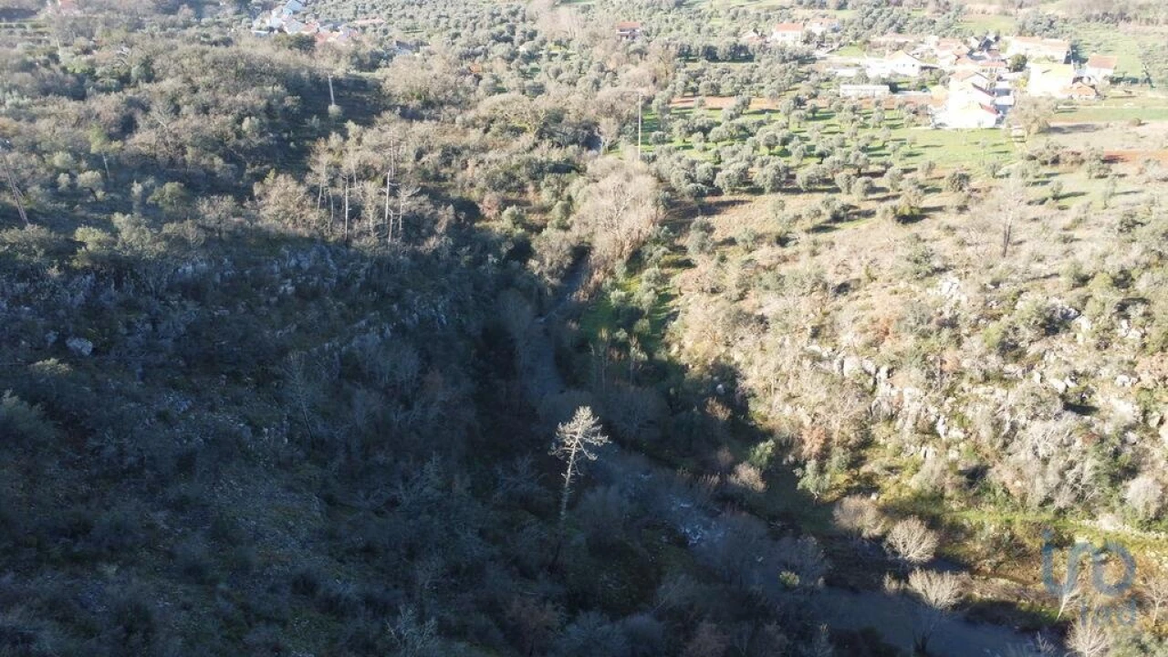 Terreno para Venda em Freixianda, Ribeira do Fárrio e Formigais Foto 8