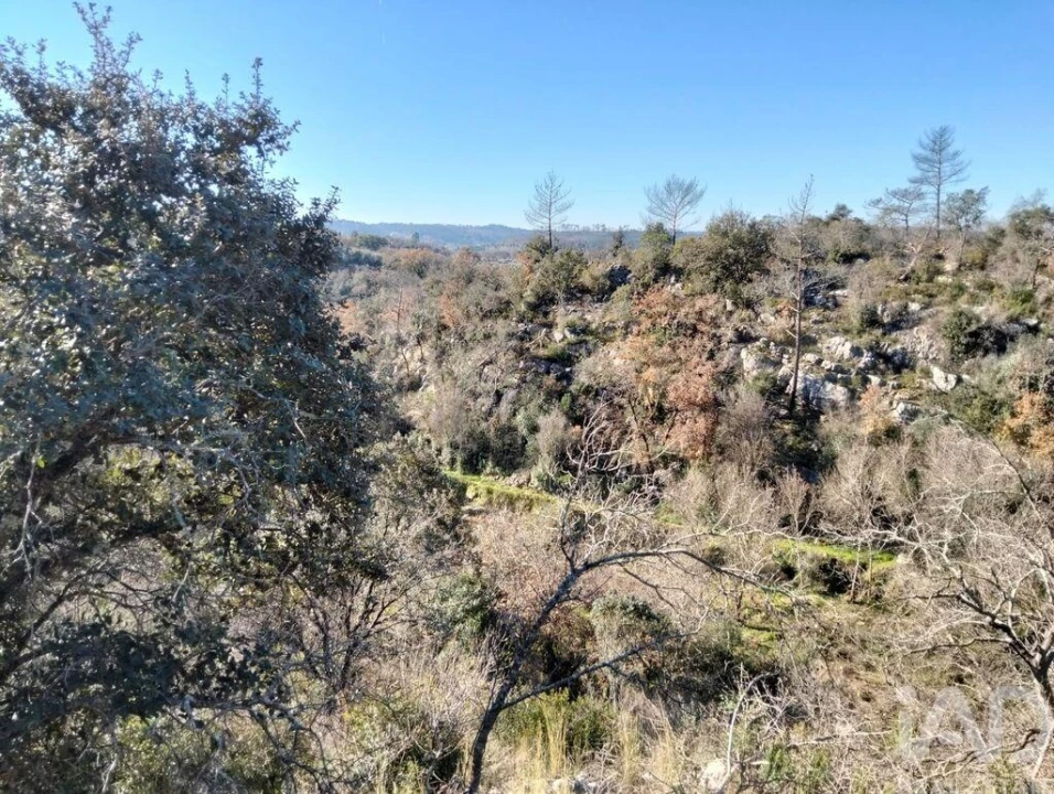 Terreno para Venda em Freixianda, Ribeira do Fárrio e Formigais Foto 20