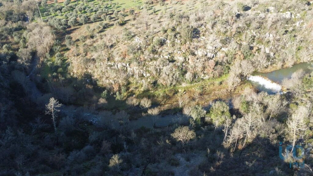Terreno para Venda em Freixianda, Ribeira do Fárrio e Formigais Foto 4