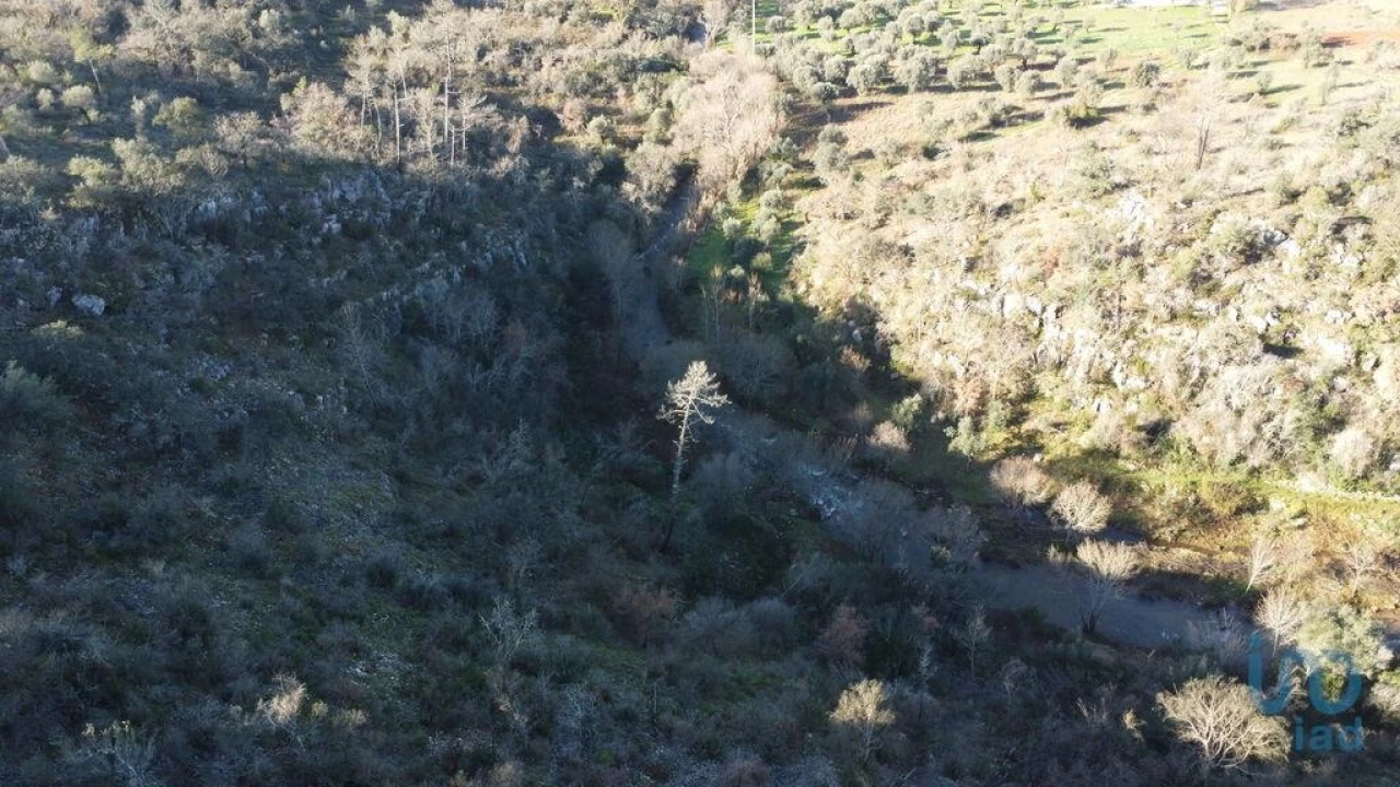 Terreno para Venda em Freixianda, Ribeira do Fárrio e Formigais Foto 3
