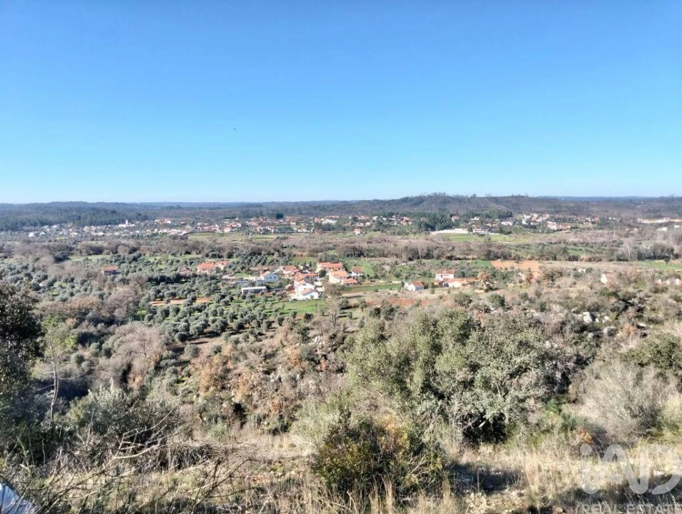 Terreno para Venda em Freixianda, Ribeira do Fárrio e Formigais Foto 22