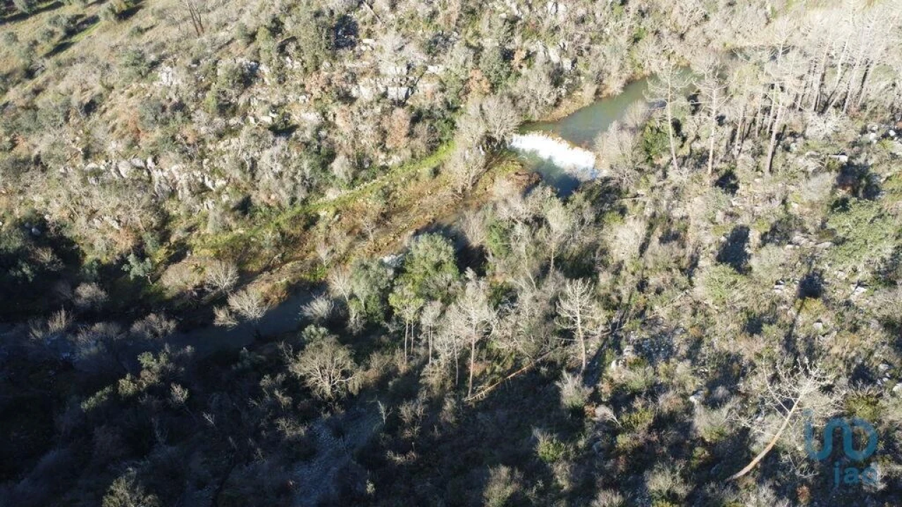 Terreno para Venda em Freixianda, Ribeira do Fárrio e Formigais Foto 12