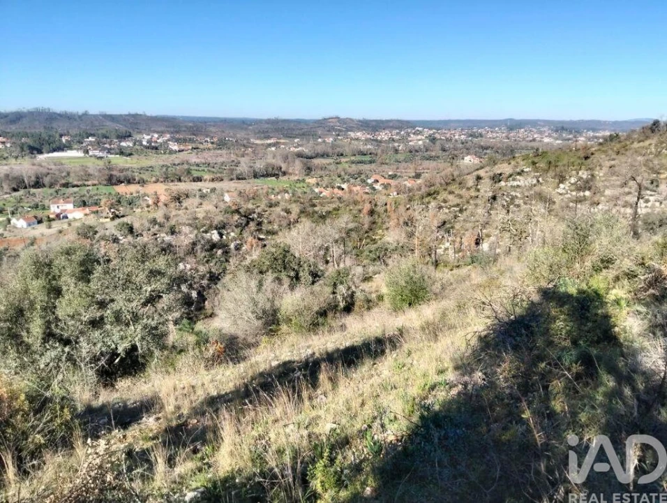 Terreno para Venda em Freixianda, Ribeira do Fárrio e Formigais Foto 23
