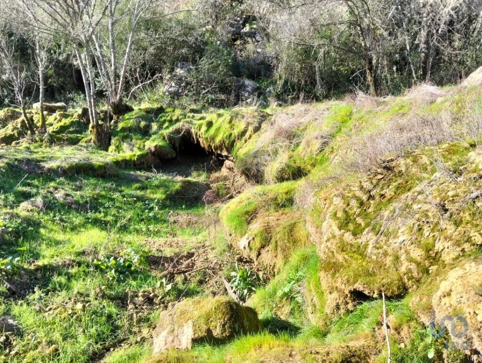 Terreno para Venda em Freixianda, Ribeira do Fárrio e Formigais Foto 14