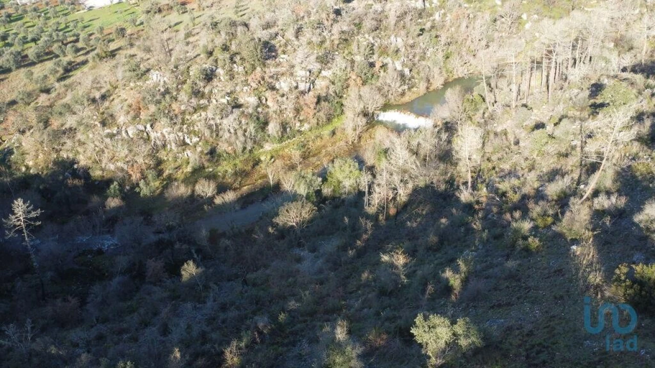 Terreno para Venda em Freixianda, Ribeira do Fárrio e Formigais Foto 1