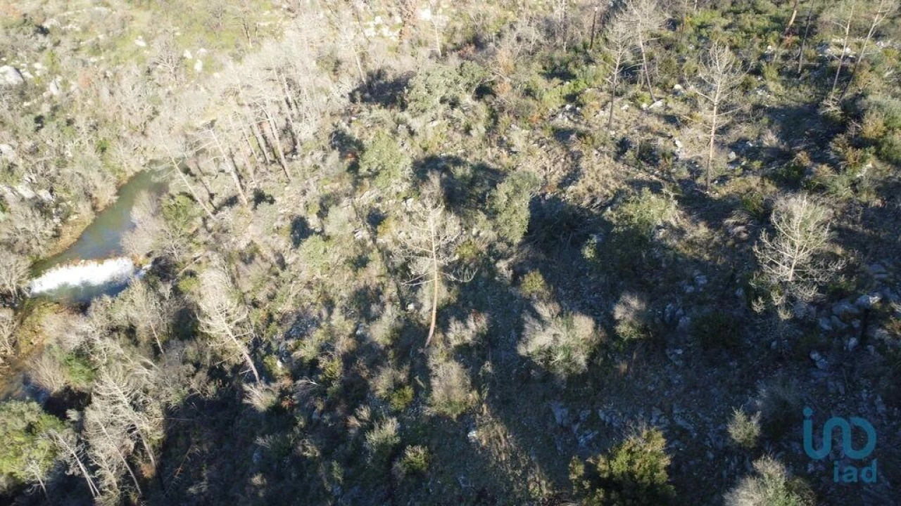 Terreno para Venda em Freixianda, Ribeira do Fárrio e Formigais Foto 5