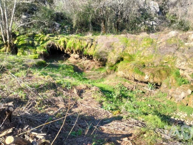 Terreno para Venda em Freixianda, Ribeira do Fárrio e Formigais Foto 18