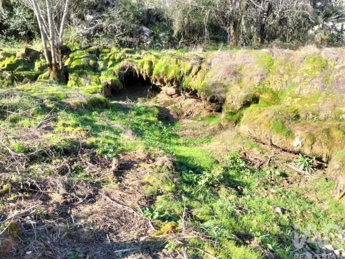 Terreno para Venda em Freixianda, Ribeira do Fárrio e Formigais Foto 17