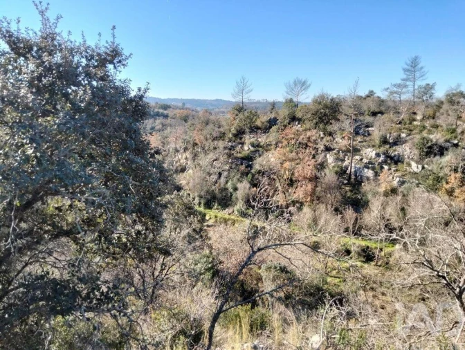 Terreno para Venda em Freixianda, Ribeira do Fárrio e Formigais Foto 20
