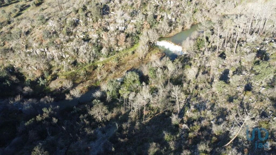 Terreno para Venda em Freixianda, Ribeira do Fárrio e Formigais Foto 12