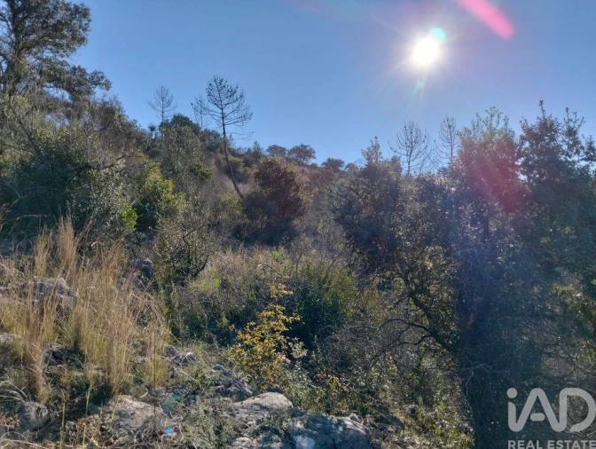 Terreno para Venda em Freixianda, Ribeira do Fárrio e Formigais Foto 24