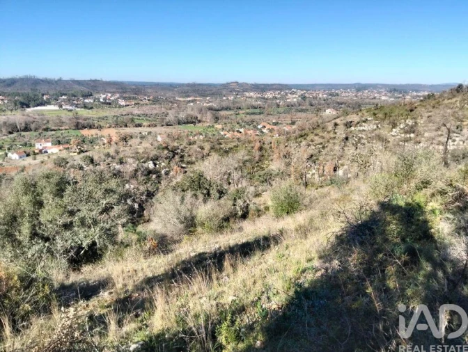Terreno para Venda em Freixianda, Ribeira do Fárrio e Formigais Foto 23