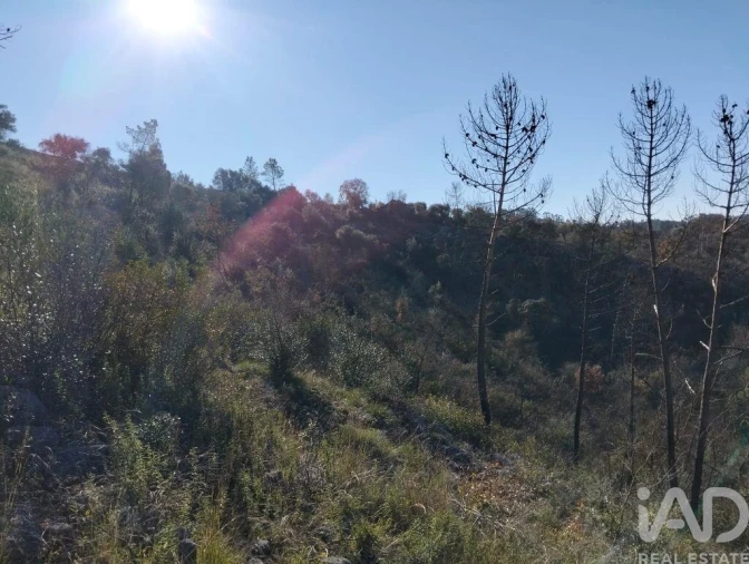 Terreno para Venda em Freixianda, Ribeira do Fárrio e Formigais Foto 25
