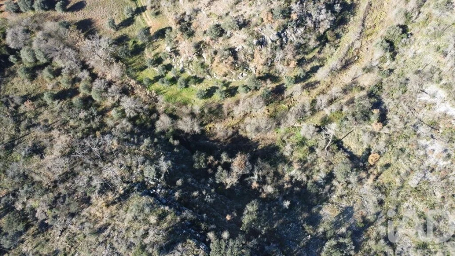 Terreno para Venda em Freixianda, Ribeira do Fárrio e Formigais Foto 27