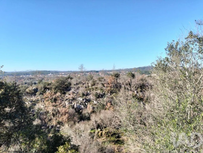 Terreno para Venda em Freixianda, Ribeira do Fárrio e Formigais Foto 21