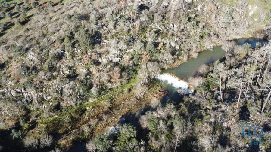 Terreno para Venda em Freixianda, Ribeira do Fárrio e Formigais Foto 13
