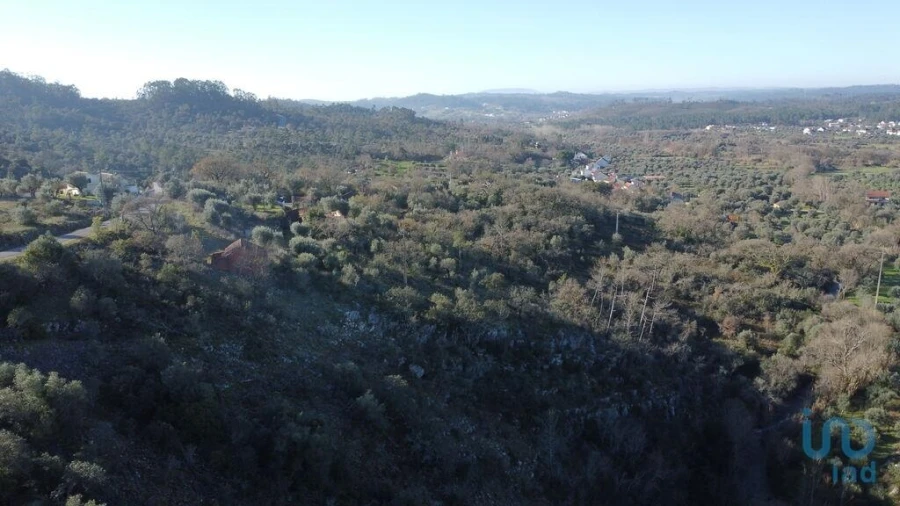 Terreno para Venda em Freixianda, Ribeira do Fárrio e Formigais Foto 7