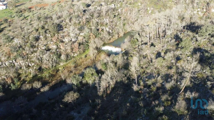 Terreno para Venda em Freixianda, Ribeira do Fárrio e Formigais Foto 2
