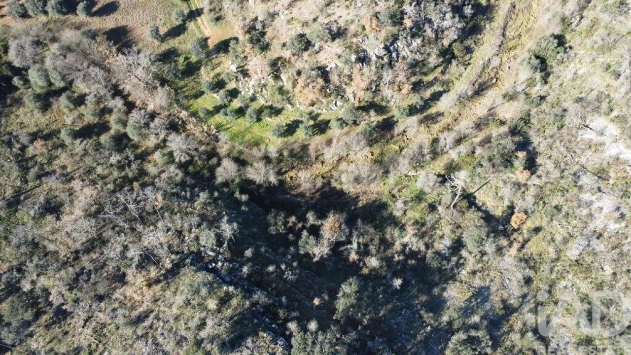 Terreno para Venda em Freixianda, Ribeira do Fárrio e Formigais Foto 27