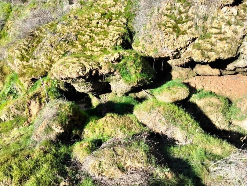 Terreno para Venda em Freixianda, Ribeira do Fárrio e Formigais Foto 19