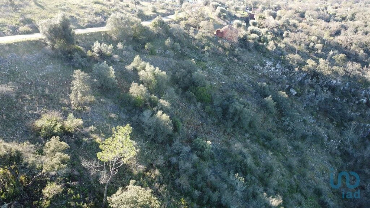 Terreno para Venda em Freixianda, Ribeira do Fárrio e Formigais Foto 9