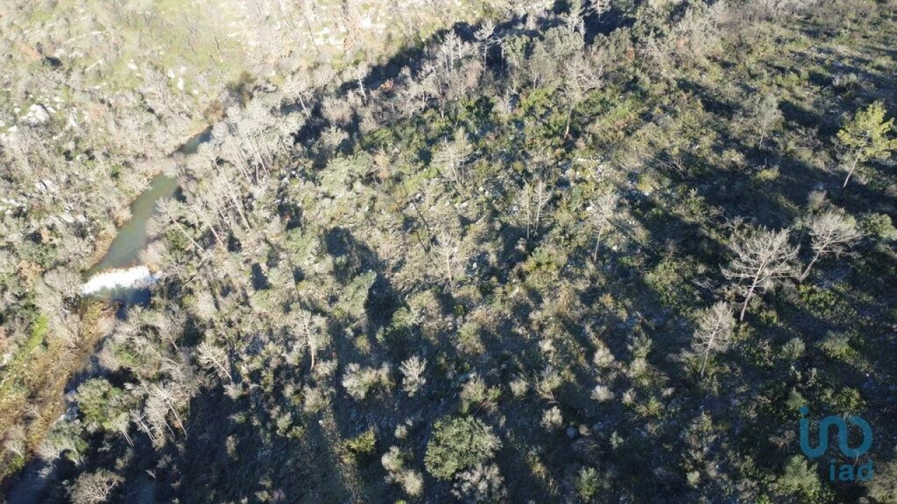 Terreno para Venda em Freixianda, Ribeira do Fárrio e Formigais Foto 10